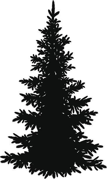 Pine Tree Clip Art, Vector Images & Illustrations - iStock