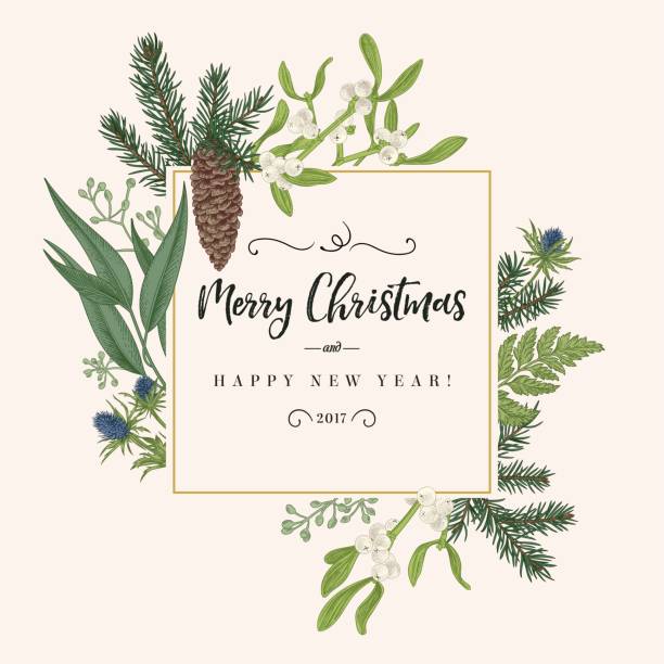 Christmas frame in vintage style. Christmas holiday frame in vintage style. Greeting invitation card. Botanical illustration with pine branches, pine cones, mistletoe, fern. evergreen plant stock illustrations
