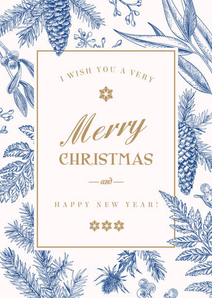 Christmas greeting card in vintage style. Christmas greeting card in vintage style. Vector frame with ferns, berries, mistletoe, pine cones and spruce branches, seeds of eucalyptus. Blue. evergreen plant stock illustrations