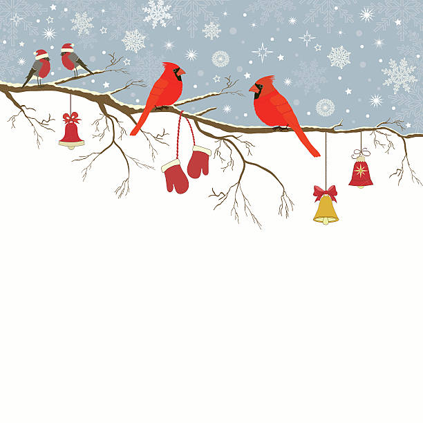 Christmas greeting card Christmas greeting card a branch with birds and bells cardinals stock illustrations