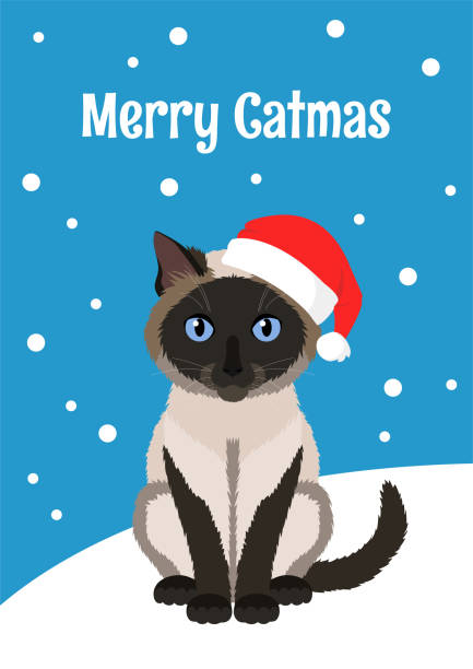 GORGEOUS SIAMESE THAI CAT under Christmas Tree Toys Doll Decorate New Postcard 