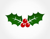 istock Christmas holly berry icon 874819562