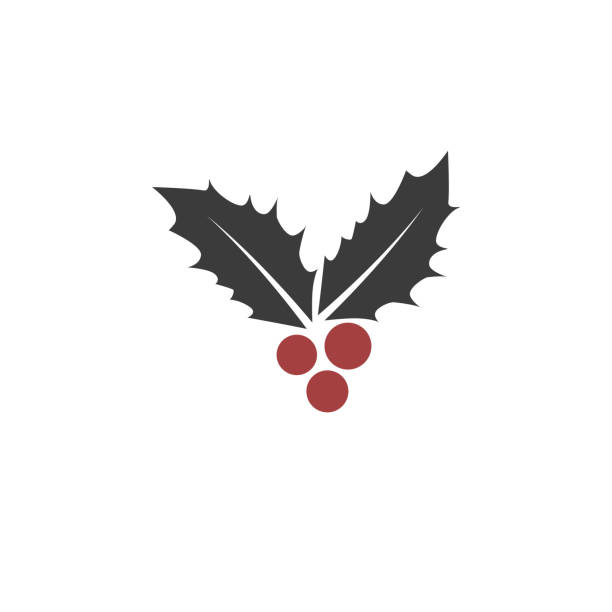 Christmas leaf and berry icon vector art illustration