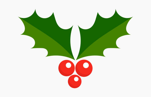 Download Christmas Holly Vector Art Graphics Freevector Com SVG Cut Files