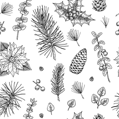 Christmas seamless pattern with hand drawn fir tree and eucalyptus branches, cones, poinsettia flowers and holly berries isolated on white background. Vector illustration in vintage sketch style