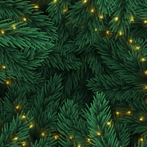 Christmas tree branches. Frame of green branch of pine and gold string garland lights. Festive Xmas border. pine branches, tree branches, fir coniferous branches Christmas tree branches. Frame of green branch of pine and gold string garland lights. Festive Xmas border. pine branches, tree branches, fir coniferous branches christmas tree close up stock illustrations