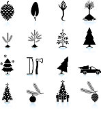 Christmas Tree Growing and Chopping Down black & white icon set