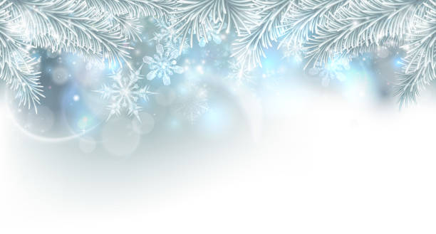 Christmas Tree Snowflakes Background Christmas tree and snowflakes silver snow and ice crystals abstract background winter borders stock illustrations