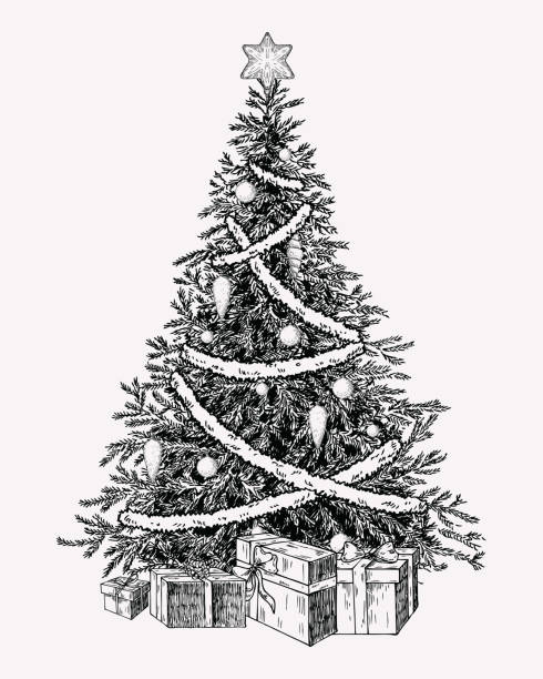 Christmas tree vintage illustation. Hand drawn holiday decor element.  christmas drawings stock illustrations