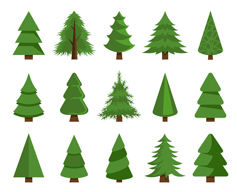 Vector illustration of the christmas trees set