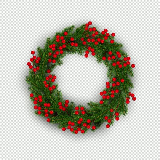 Christmas wreath of realistic Christmas tree branches and holly berries Christmas wreath of realistic Christmas tree branches and holly berries Element for festive design isolated on transparent background Vector illustration evergreen plant stock illustrations