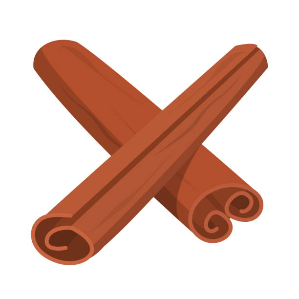 Cinnamon sticks vector isolated Cinnamon sticks vector isolated. Natural aromatic and fresh condiment. Spicy herb. Brown piquant ingredient cinnamon stock illustrations