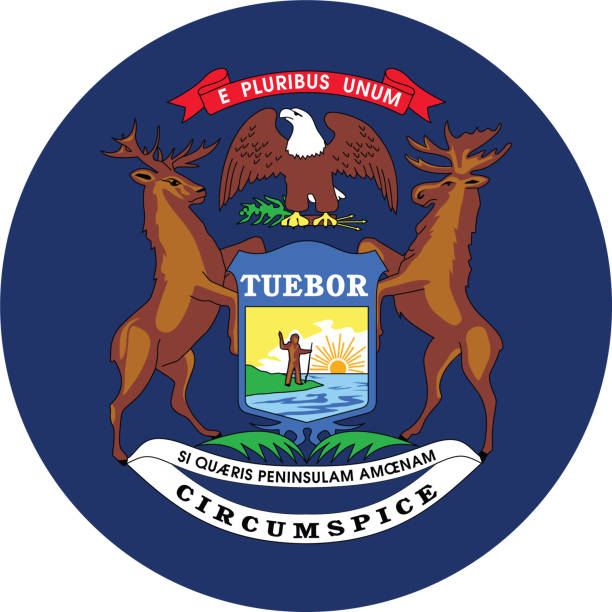 круг государственный флаг сша федерального штата мичиган - michigan stock illustrations