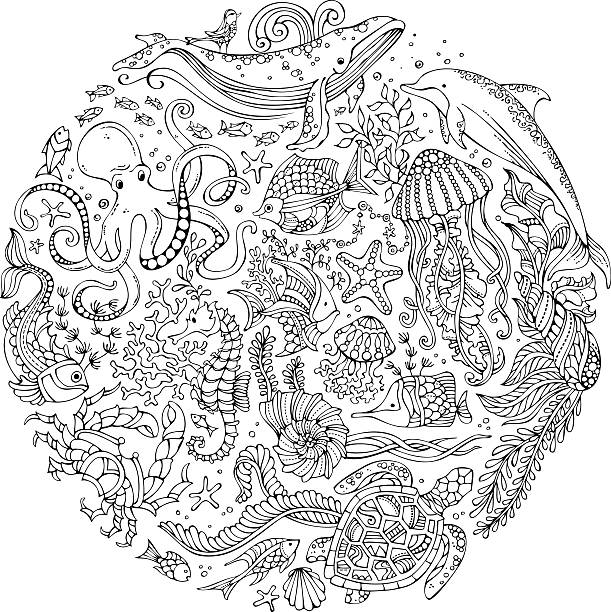 Circle vector set of doodles wild sealife. Contours of whale, dolphin, turtle, fish, starfish, crab, octopus, shell, jellyfish, algae. Underwater animals and plants. Coloring book for adults template. marine life stock illustrations