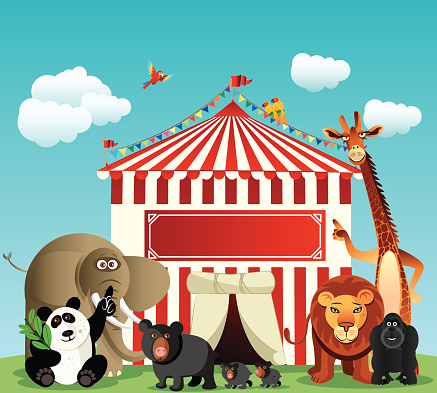 Circus and Animals