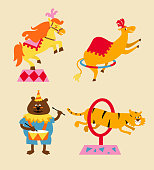 Circus animals collection set, vector illustration. Horse, camel, bear and lion.