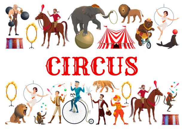 Circus animals, clowns and acrobatic equilibrists Circus entertainment show poster of wild animals tamer with lion in fire ring and elephant balancing on ball. Vector clown, muscleman and bear on bicycle, illusionist juggling and horse rider circus stock illustrations