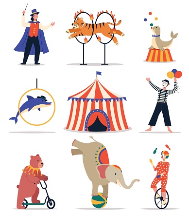 Circus animals. Funny trained animals. Show elements hoops, bollards and balls, circus tent, cartoon bear, elephant and dolphin. Magician mime and clown in costumes, vector isolated set