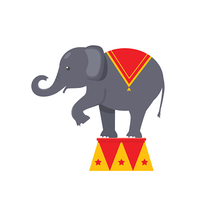 Circus elephant icon