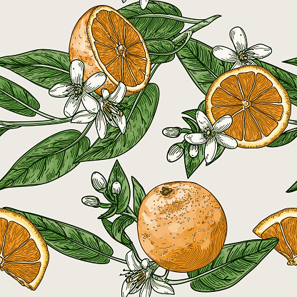 Citrus and Orange Blossom Vintage Retro Style Seamless Pattern