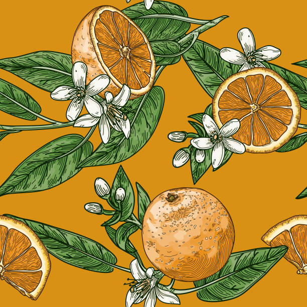 Orange Blossom Background Illustrations, Royalty-Free Vector Graphics