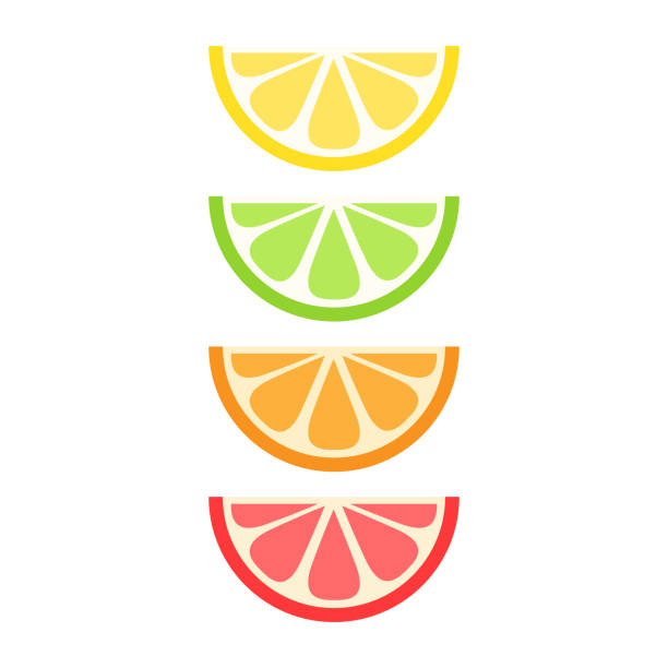 Citrus set Set of citrus fruit slices; lemon, lime, orange and grapefruit. Vector graphic summer fruit icons. lime stock illustrations