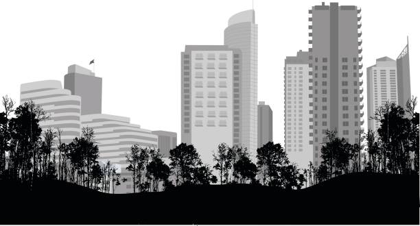 City Centre Park View A vector silhouette illustration of an urban city skyline with a row of trees from the park in the foreground. architecture silhouettes stock illustrations