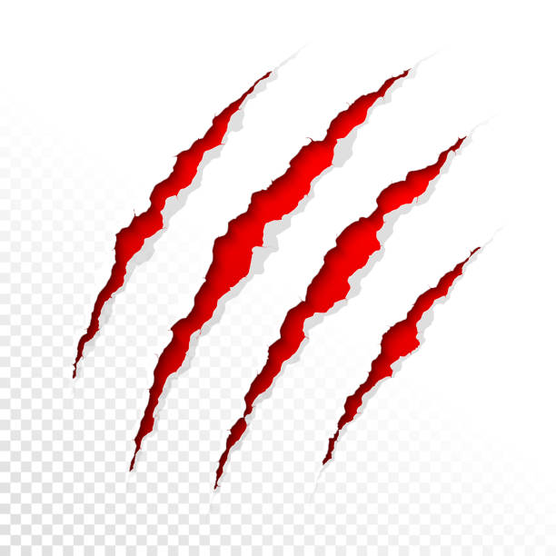 Claw Marks Illustrations, RoyaltyFree Vector Graphics