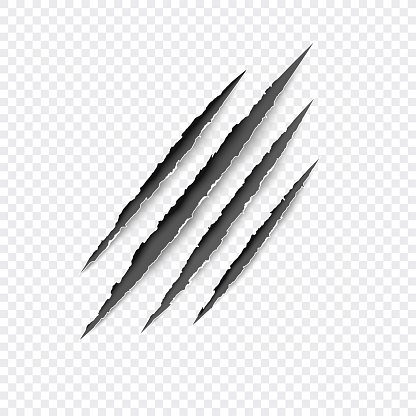 Claws scratches. Vector scratch set isolated on gray background.