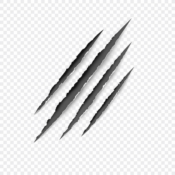 Claws scratches. Vector scratch set isolated on gray background. Claws scratches - vector isolated on transparent background. Claws scratching animal (cat, tiger, lion, bear) illustration. scratched stock illustrations