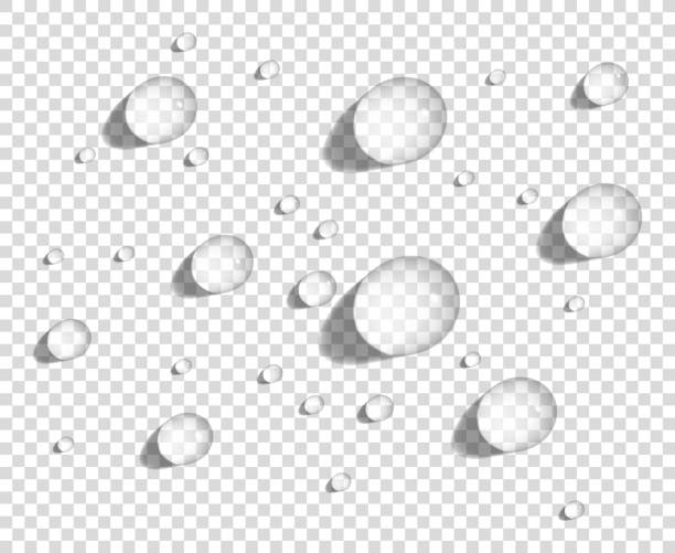 매끄러운 표면에 맑은 둥근 물 방울, 현실적인 벡터 그림 - 방울 stock illustrations