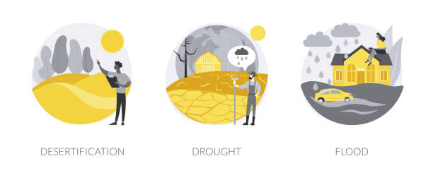 climate change consequences abstract concept vector illustrations. - drought stock illustrations