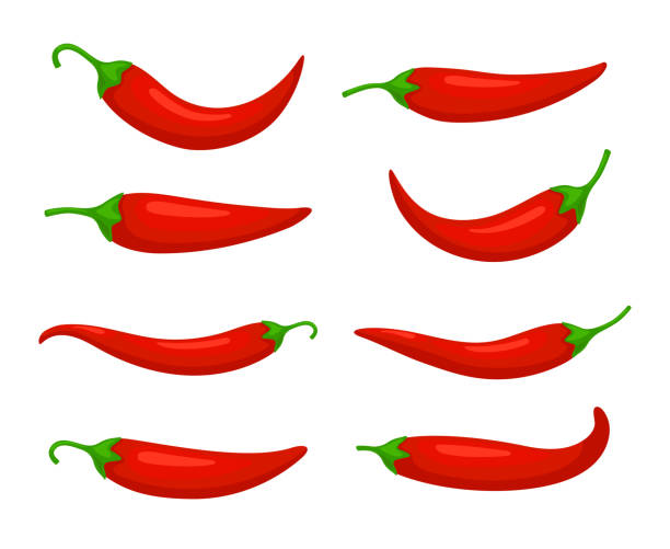 Closeup chilly pepper set Closeup chilly pepper. Hot red chili peppers, cartoon mexican chilli or chillies illustration, vectors paprika icon signs isolated on white background cayenne pepper stock illustrations