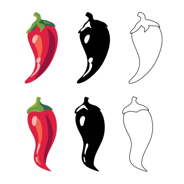 stockillustraties, clipart, cartoons en iconen met closeup chilly peppers icons. red hot chilli pepper, black and outline. cartoon mexican chilli or chillies illustration. mexican or asian cuisine signs isolated on white background. - kruidnoten