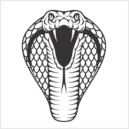 Cobra head - black and white illustration