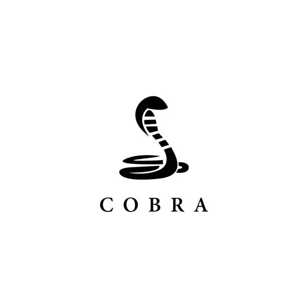 Cobra  template Cobra  template vector design cobra stock illustrations