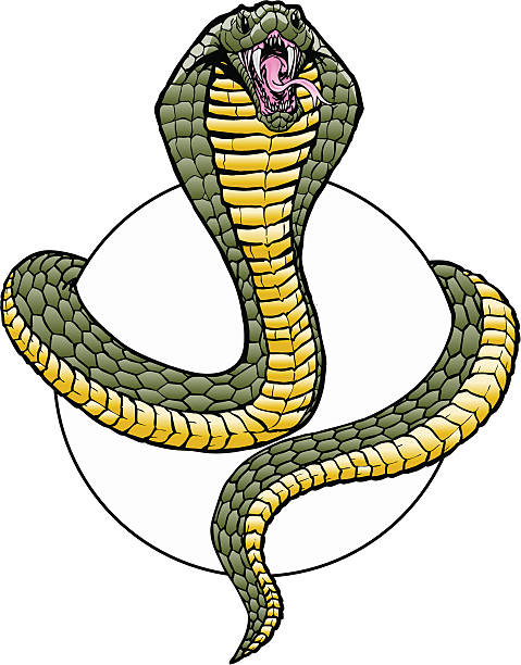 Cobra wrap The cobras head and tail and sphere are all on different layers so you can easily insert any kind of ball or object (such as any of the balls available for download from my sports lightbox, wink) instead of a blank sphere. 3 spot colors plus black. Simple gradients and shapes for easy printing, separating and color changes. Easily converted to 1 or 2 spot colors plus black. Black and white outline version also included. File formats: EPS and  JPG cobra stock illustrations
