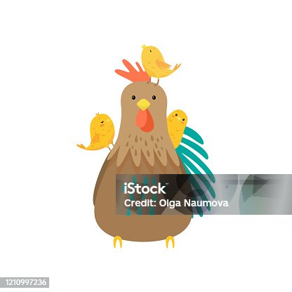 istock Cock with three small yellow chicks playing on his back isolated on white background 1210997236