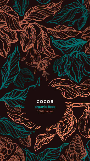 tło kakaowe. wektorowe drzewo czekoladowe, fasola złota - cocoa stock illustrations