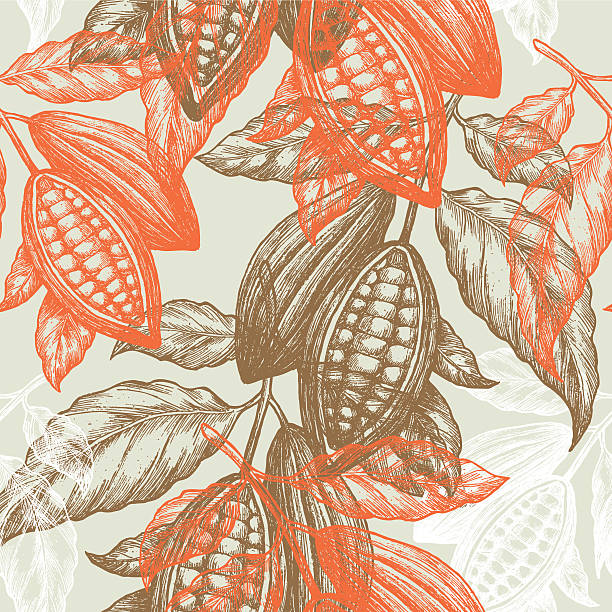 코코아 콩 매끄러운 패턴. 코코아 나무 일러스트레이션. 초콜릿 코코아 콩. - cocoa stock illustrations