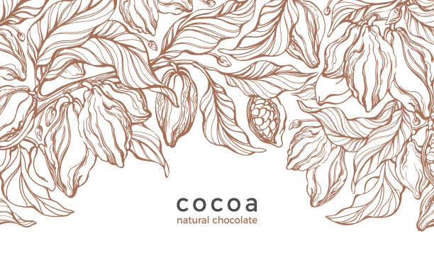 코코아 카드. 벡터 그림입니다. 트로피컬 패턴 - cocoa stock illustrations