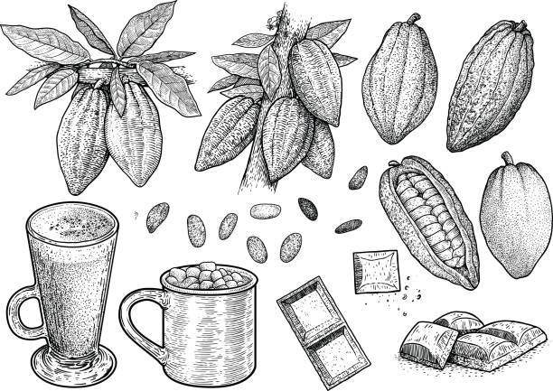 ilustrações de stock, clip art, desenhos animados e ícones de cocoa illustration, drawing, engraving, ink, line art, vector - hot chocolate