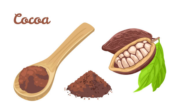 proszek kakaowy w drewnianej łyżce. fasola cacao z zielonymi liśćmi, sterta proszku czekoladowego wyizolowana na białym tle. wektorowa ilustracja żywności w kreskówce prosty płaski styl. - cocoa stock illustrations