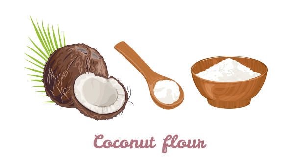 stockillustraties, clipart, cartoons en iconen met de bloem van de kokosnoot in een houten lepel, kom en kokosnoot die op een witte achtergrond wordt geïsoleerd. de illustratie van de vector van gezond voedsel in beeldverhaal vlakke stijl. - vegan keto