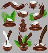 Coconut in chocolate splash. Vector realistic illustration. Nuts with chocolate splashing and pouring, palm leaves.