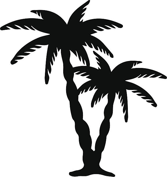 Palm Tree Silhouette Clip Art, Vector Images & Illustrations - iStock