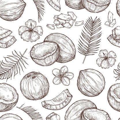 Coconut seamless pattern. Fresh food, tropical leaf flowers print. Paradise beach coco, drawing hipster summer exotic exact vector texture