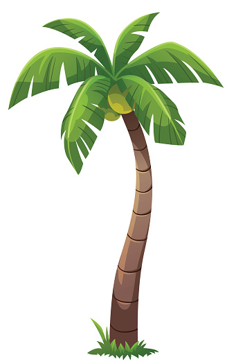 Coconut Tree Cartoon Style Stock Illustration - Download Image Now - iStock