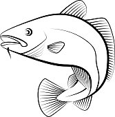 cod fish - clip art illustration