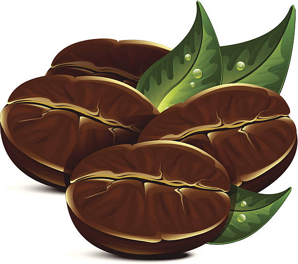 Stylized Coffee Beans Illustrations Royalty Free Vector Stylized Coffee Beans Illustrations Royalty Free Vector